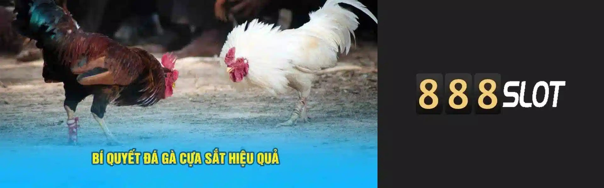 888SLOT Banner