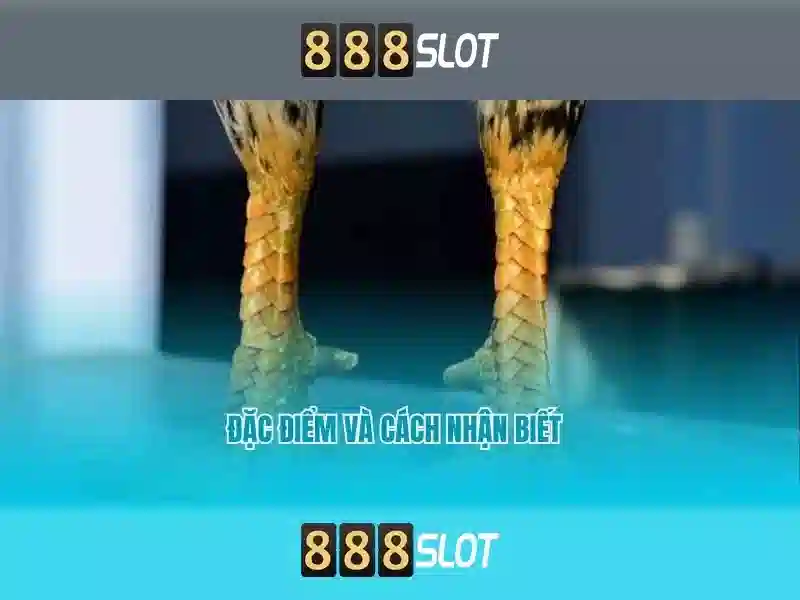 💎ab 888 slot💎 - slot 888 casino - 888slot 1