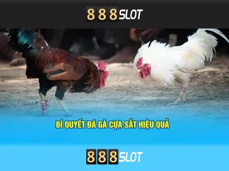 💎slot demo pg💎