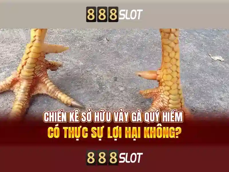 💎hình bác hồ đánh máy💎