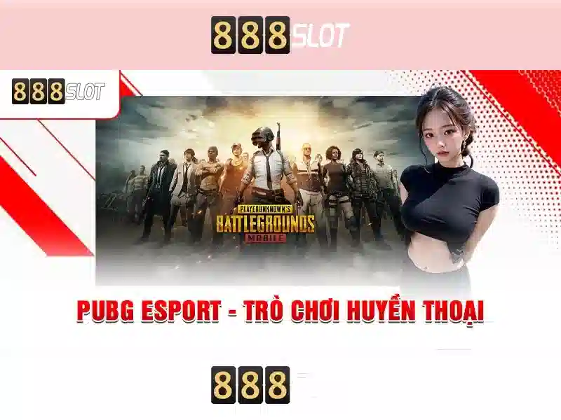 💎cước câu cá xịn💎