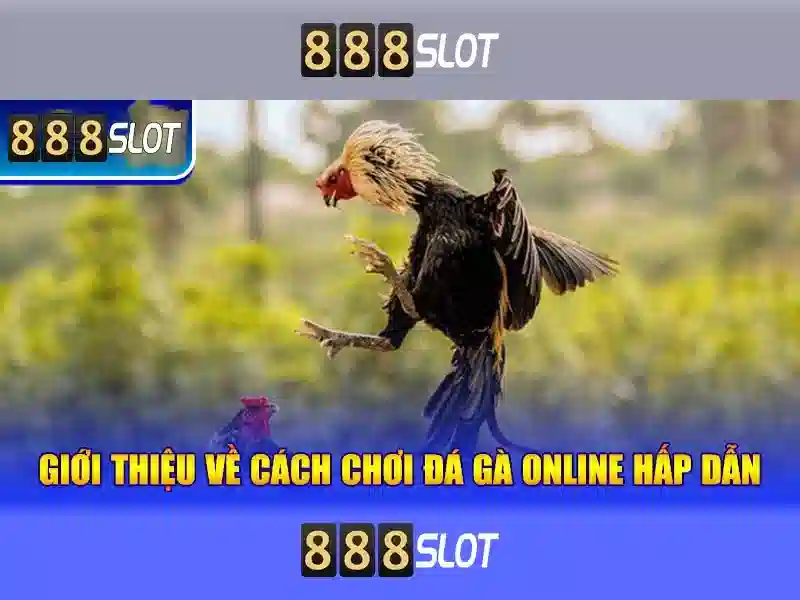 💎soi keo nha cai euro 2024💎