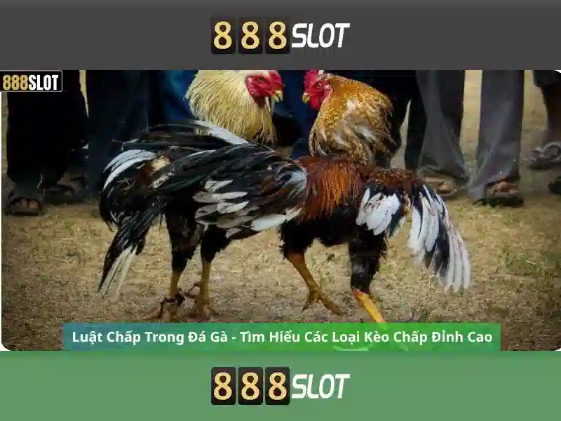 💎291 888 slot login register💎