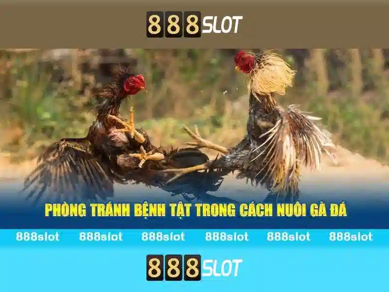 💎situs slot bonus 100 di awal💎
