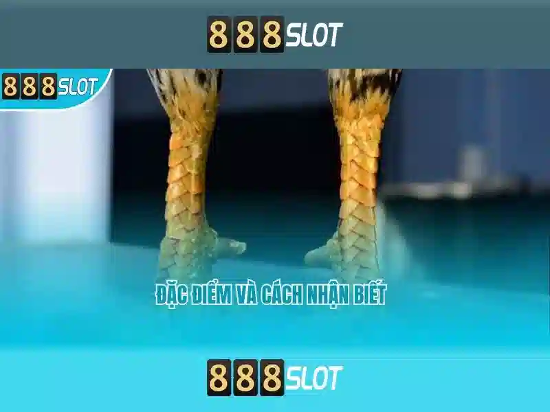 💎survival hunter best in slot💎