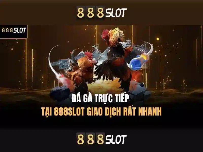 💎nhà cái nhận tiền trải nghiệm💎