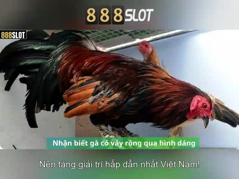 💎karaoke cát bụi cuộc đời ca cổ💎
