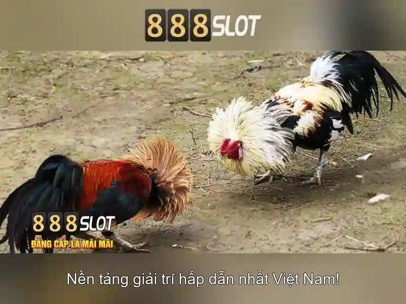 💎bóng đá trực tiếp kèo nhà cái đêm nay💎